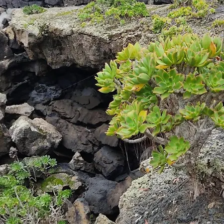 Casa Volcanica El Cabezo Holiday home