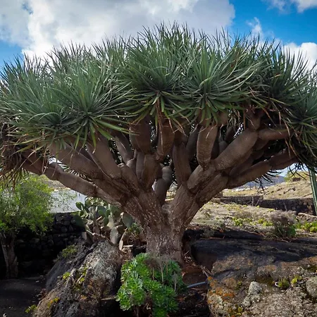 Casa Volcanica El Cabezo Dom wakacyjny *