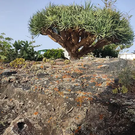 Casa Volcanica El Cabezo *