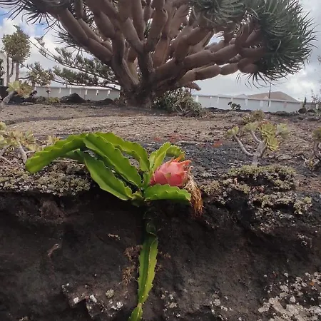 Casa Volcanica El Cabezo Dom wakacyjny