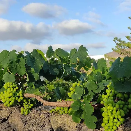 Dom wakacyjny Casa Volcanica El Cabezo