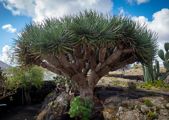 Casa Volcanica El Cabezo 펜션 *