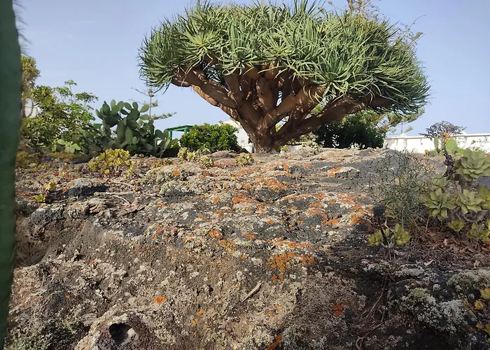 Casa Volcanica El Cabezo *