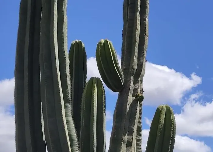 Casa Volcanica El Cabezo *