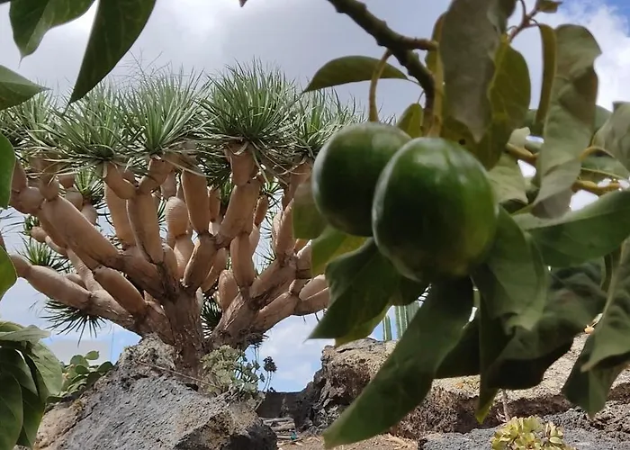 Casa Volcanica El Cabezo *