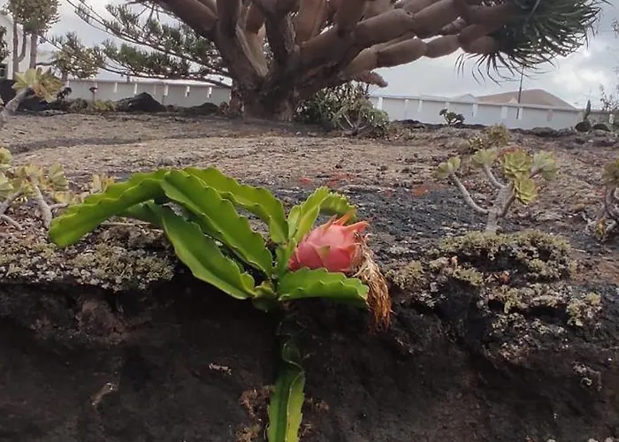 Casa Volcanica El Cabezo 度假居