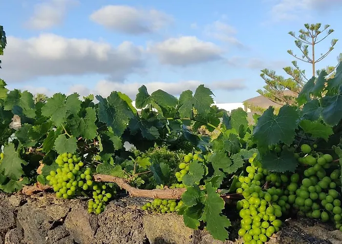 度假居 Casa Volcanica El Cabezo