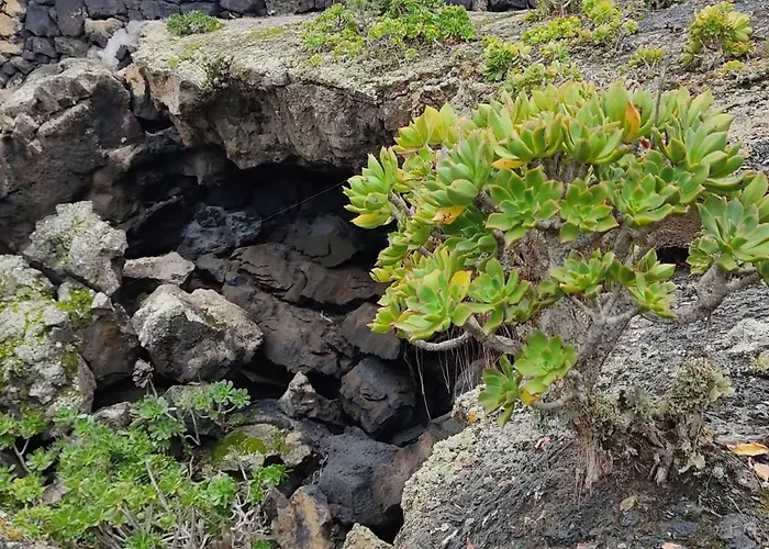 Casa Volcanica El Cabezo 度假居