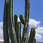 Casa Volcánica El Cabezo *